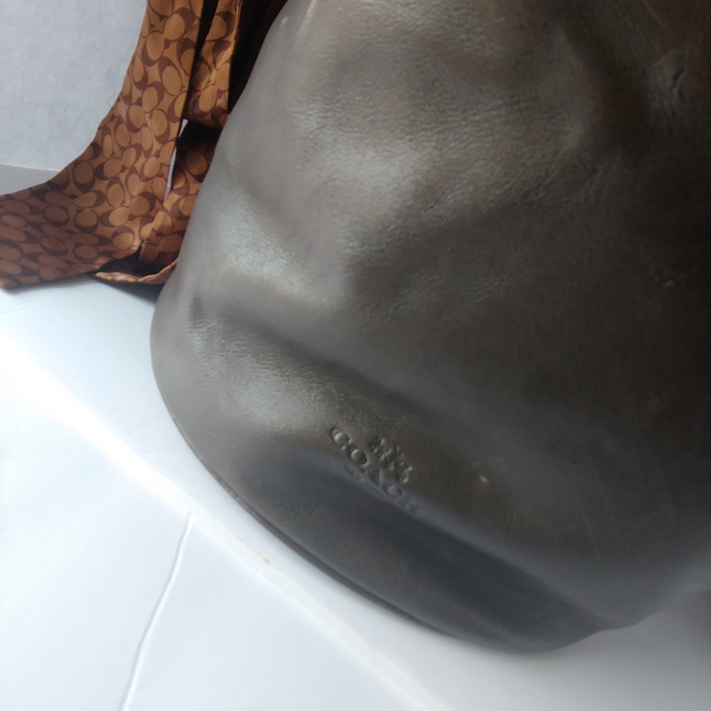 Brown Coach bucket bag